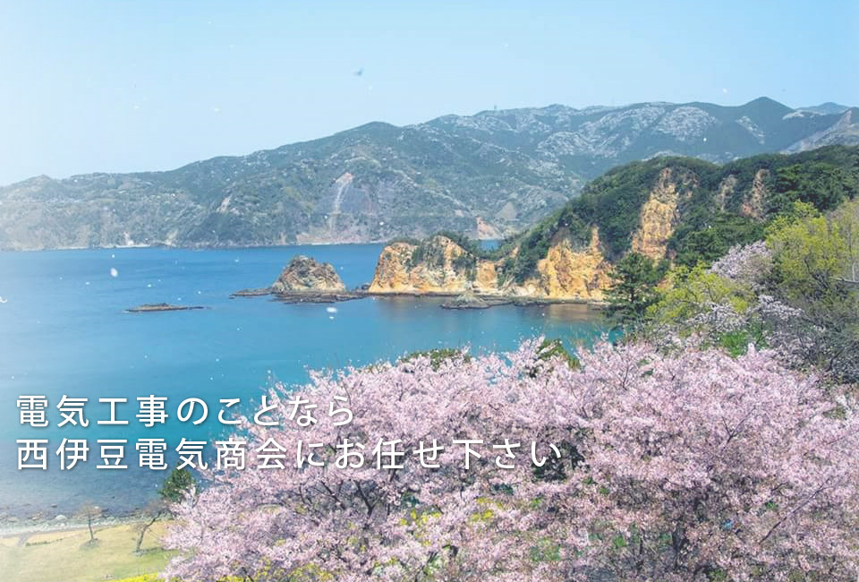 業歴50年以上の経験と実績で 皆様の暮らしを守ります